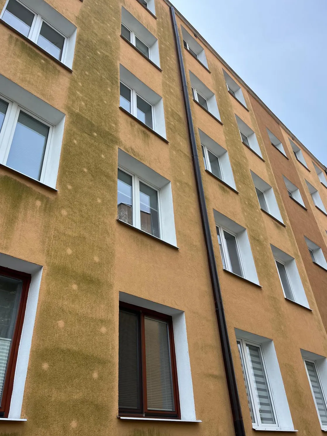 Elewacja przed myciem