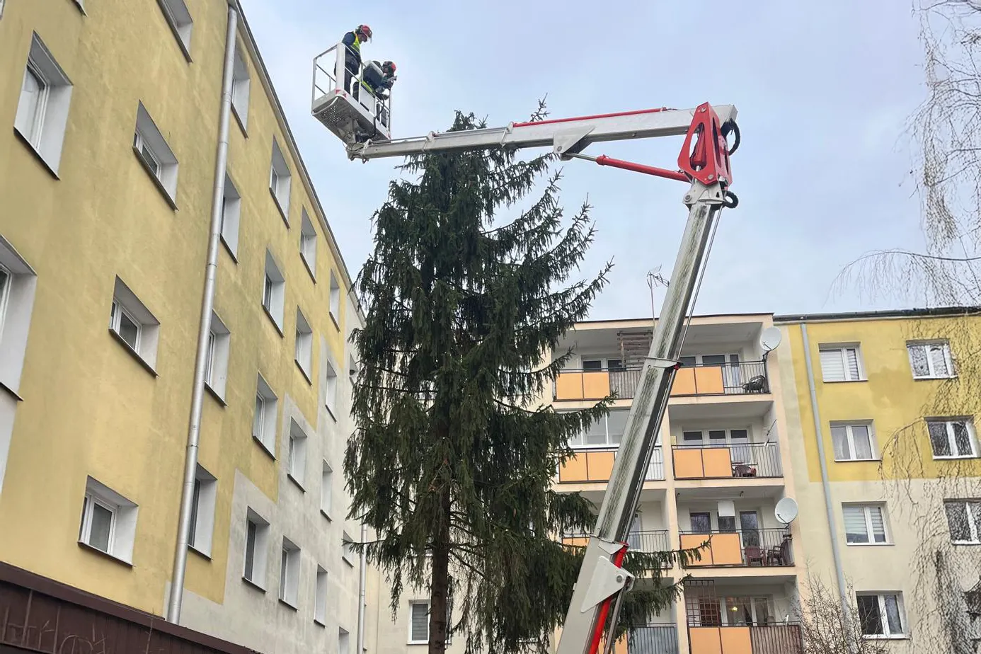 Pielęgnacja terenów zielonych